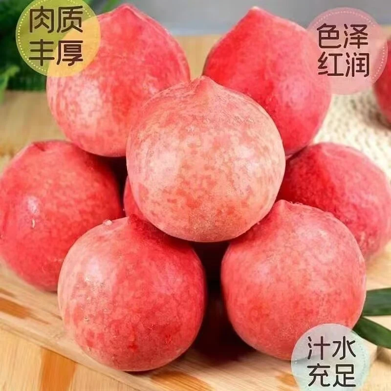 RL水蜜桃毛桃新鲜采摘脆甜爽口应季水果杏坏果包赔