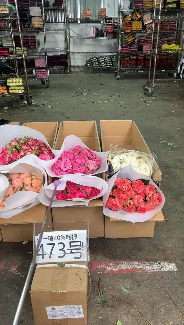 473号♥中通含20%耗损发一箱鲜花