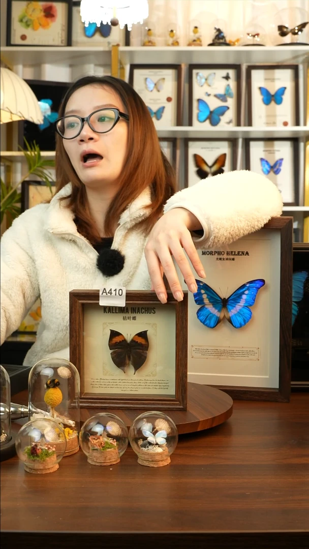 枯叶蝶-（6寸方胡桃色新款框）A410