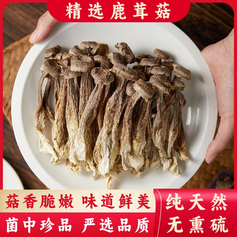 【到手两大袋】高山鹿茸菇 头茬大朵肉厚 无熏硫 炖鸡汤必备