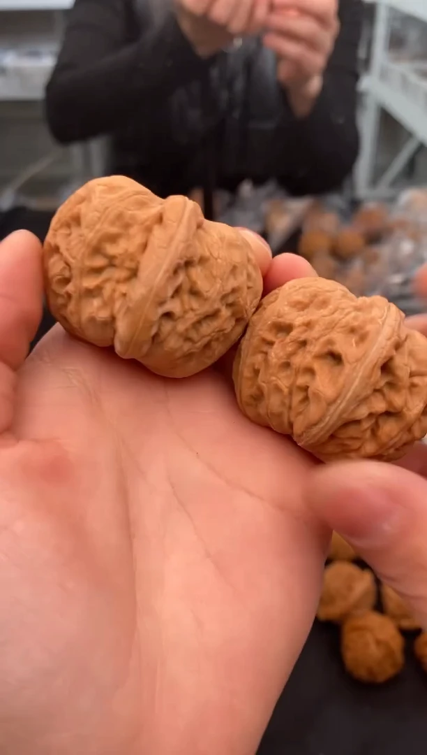 【闪购商品】文玩核桃把件元宝43-t852