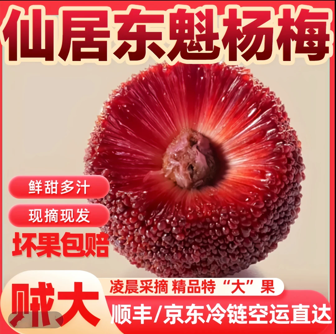 仙居杨梅【东魁杨梅】6斤筐装