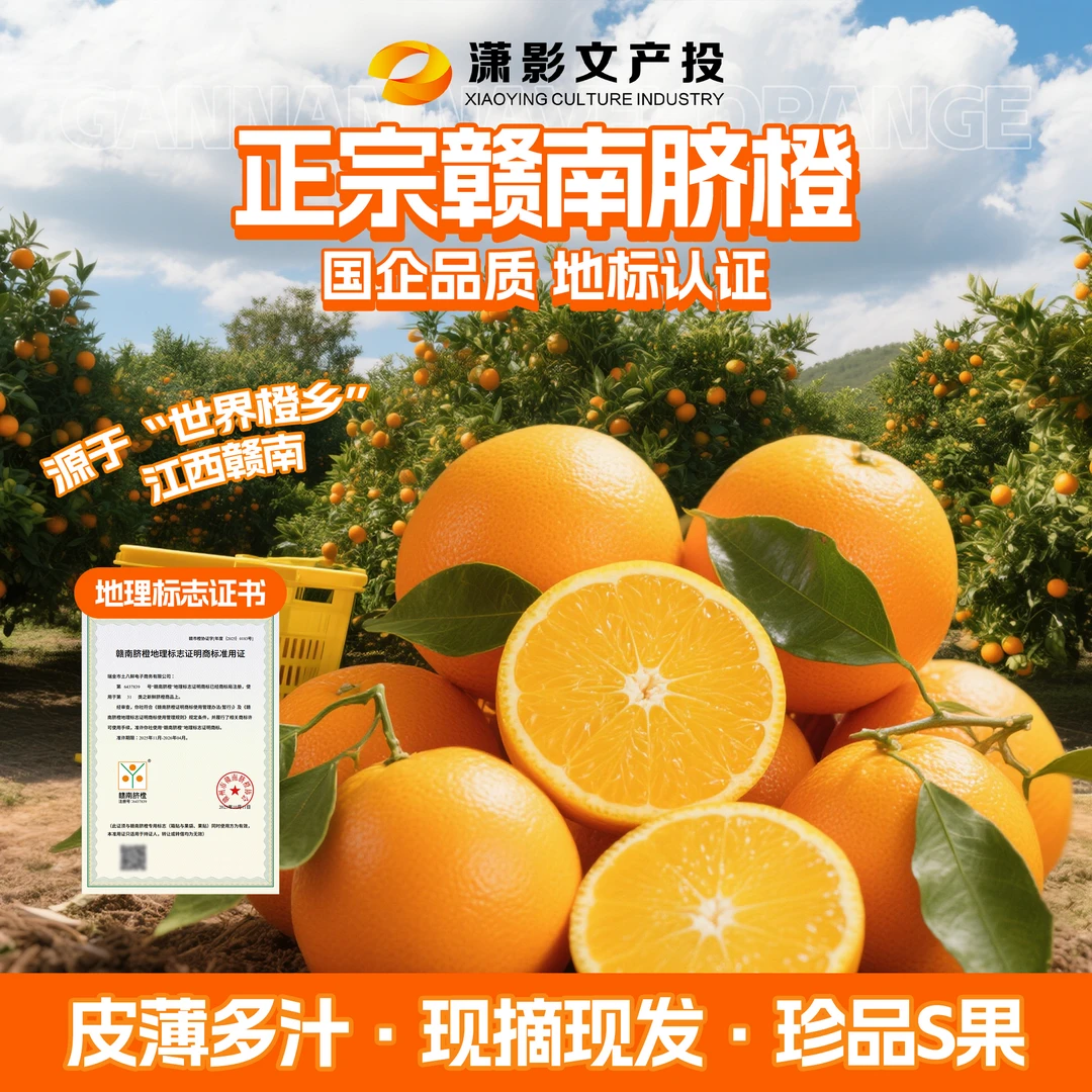 珍品s果丨正宗赣南脐橙新鲜现摘橙子当季江西纽荷尔脐橙赣南脐橙