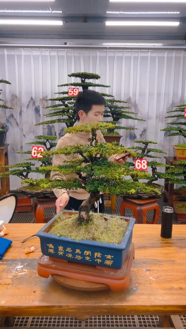 【闪购商品】紫砂精品盆景直播间一物一拍