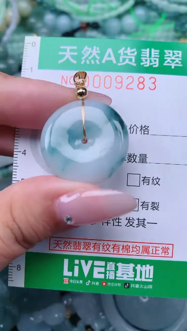 翡翠未镶嵌颈饰.0009283