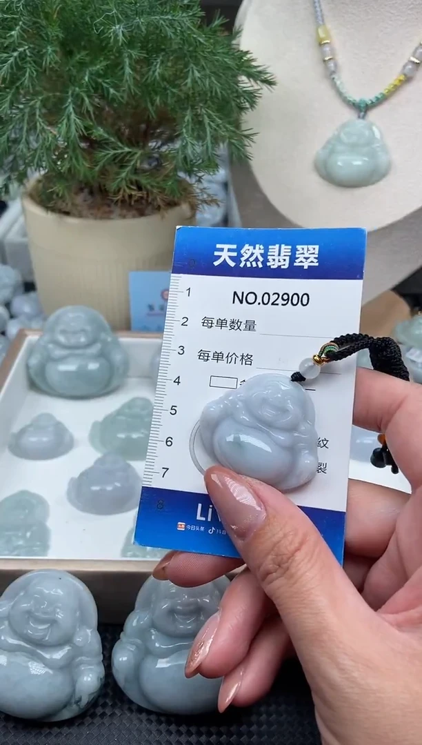 颈饰未镶嵌翡翠纯天然A货翡翠2900