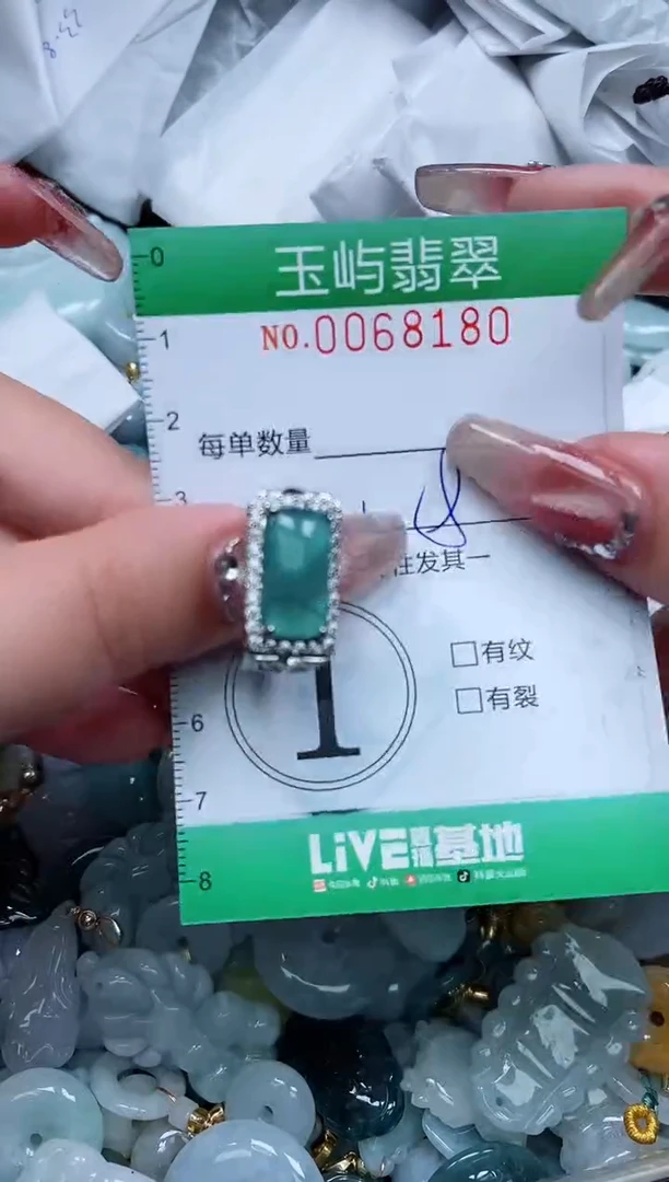 【闪购商品】翡翠颈饰未镶嵌闪购0068180