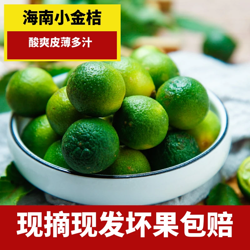 海南小金桔中果新鲜小青柠奶茶店商用
