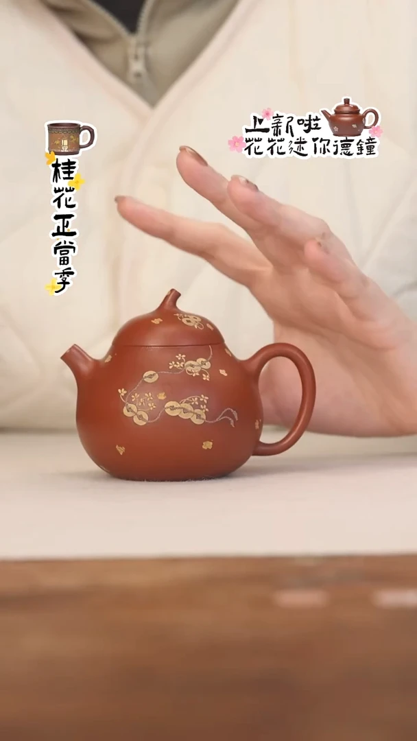 茶壶紫砂朱泥洒金桂花铜钱茄瓜