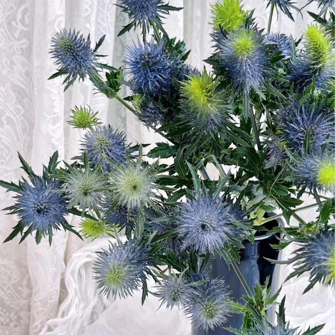 刺秦5支（家庭瓶插花）