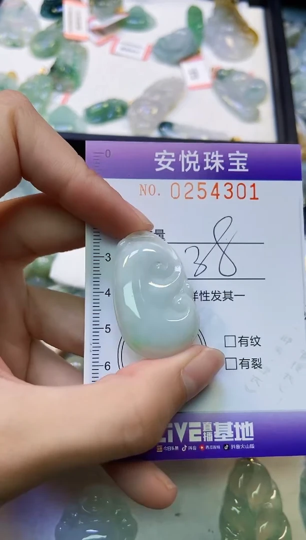 颈饰未镶嵌翡翠闪购0254301