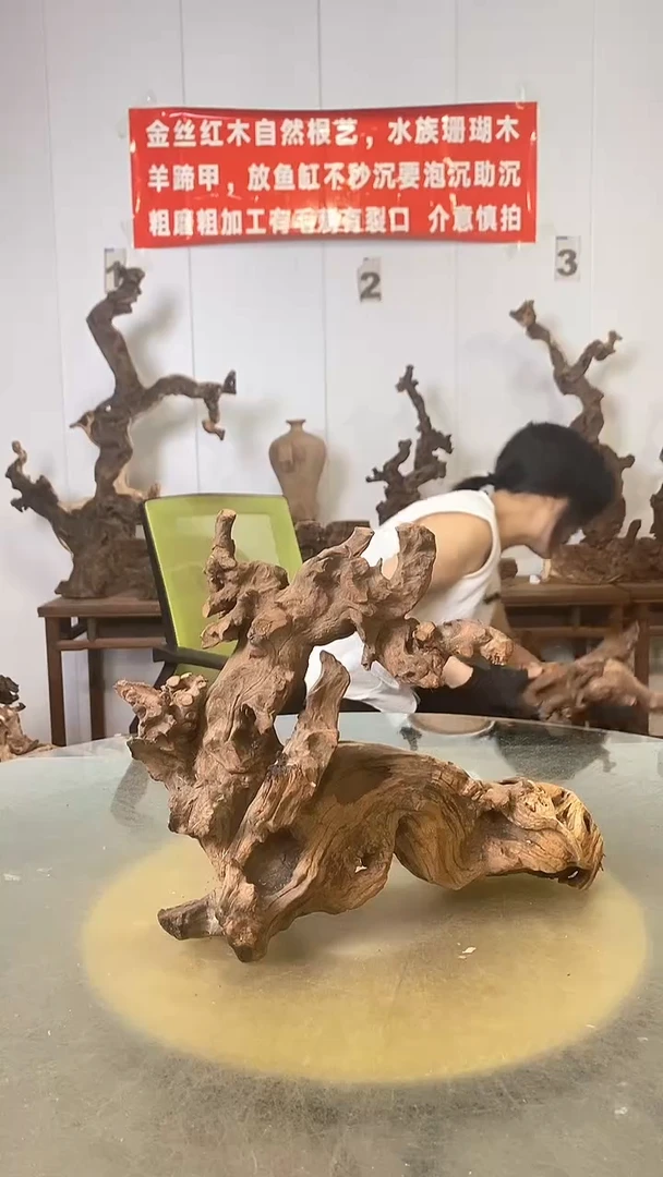 香榧木明*金丝红木   羊蹄甲