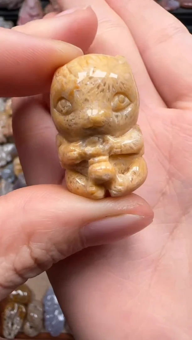 【闪购商品】硅化珊瑚（珊瑚玉）颈饰未镶嵌724