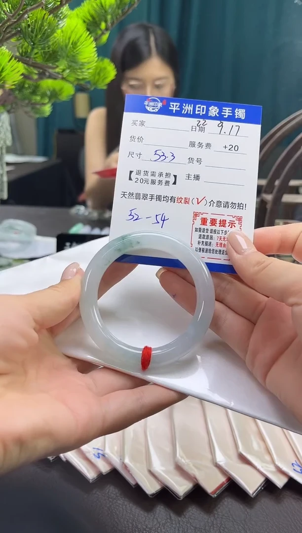 未镶嵌手镯翡翠(有鉴赏期)21