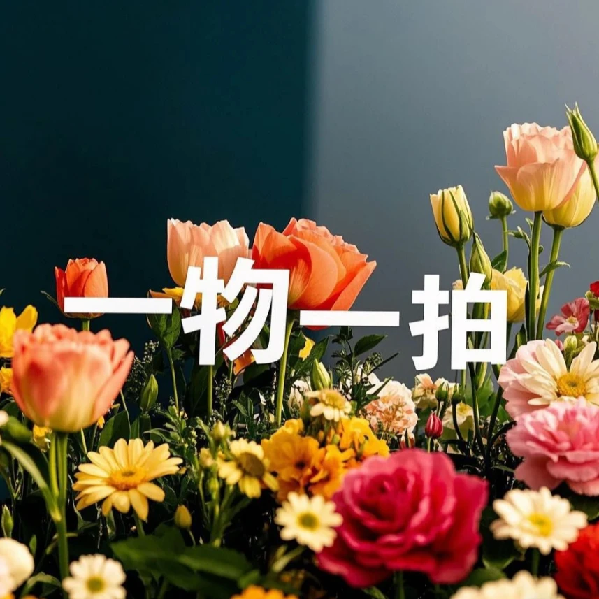 直播间一物一拍，两单包邮！两单包邮！两单包邮！永生花花