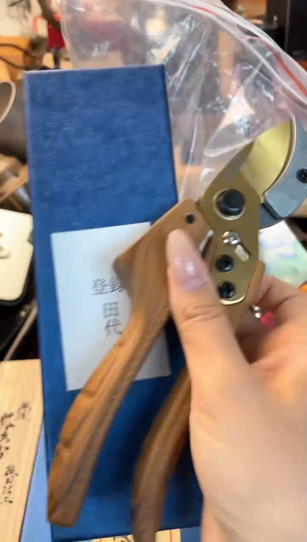 瓷片2jian晓魏甄宝阁品质保证