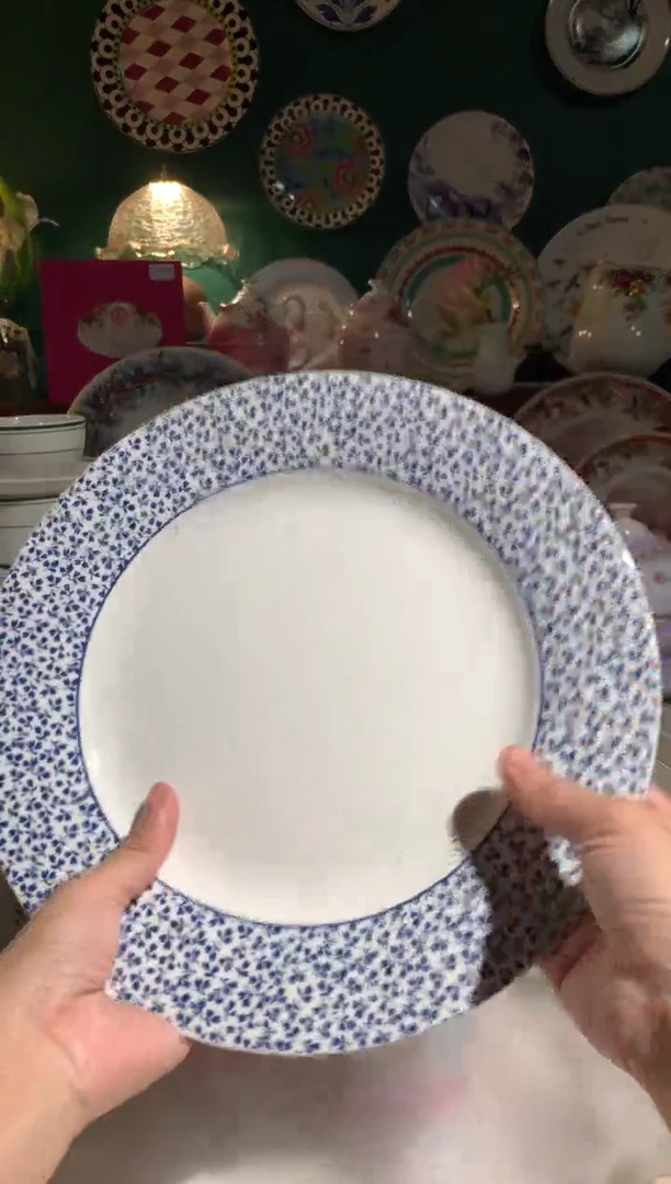 瓷片陶瓷尾单CC082有瑕1个