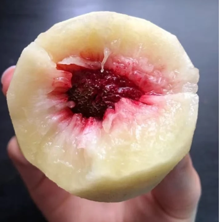 【丑桃很甜】绿色食品丑桃丹霞雪桃香甜冬桃新鲜现摘、脆甜多汁！