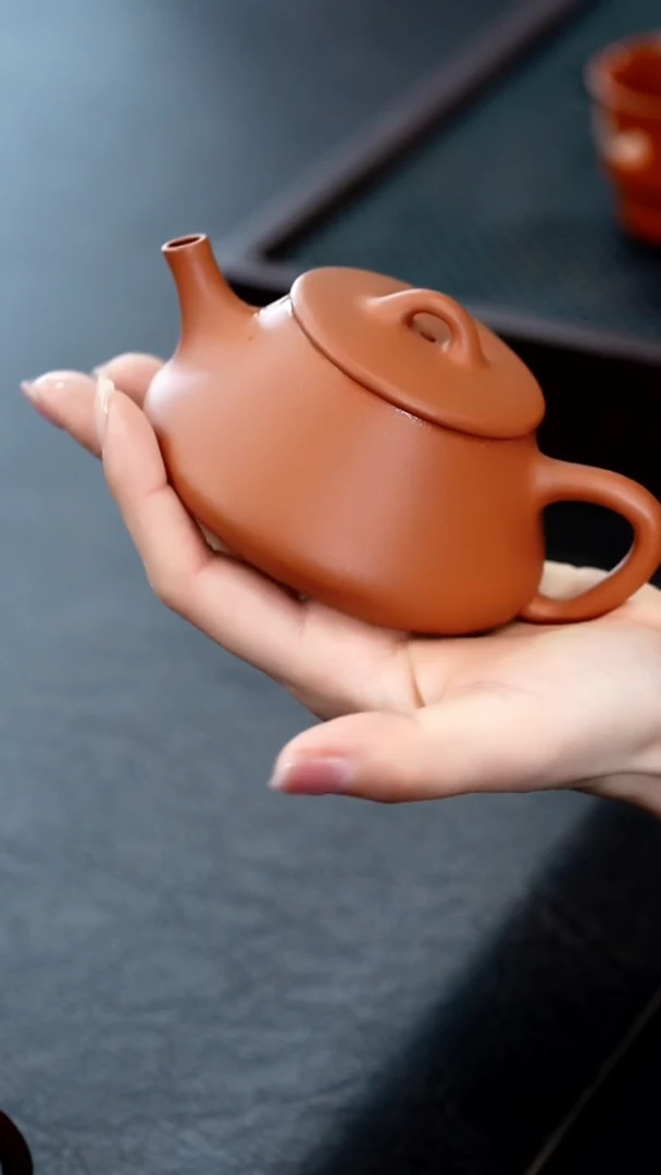 茶壶紫砂14宜兴紫砂壶惊喜