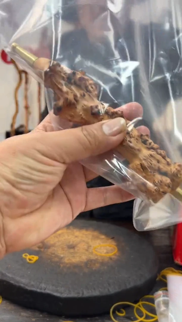 黑果木其他黑果木341