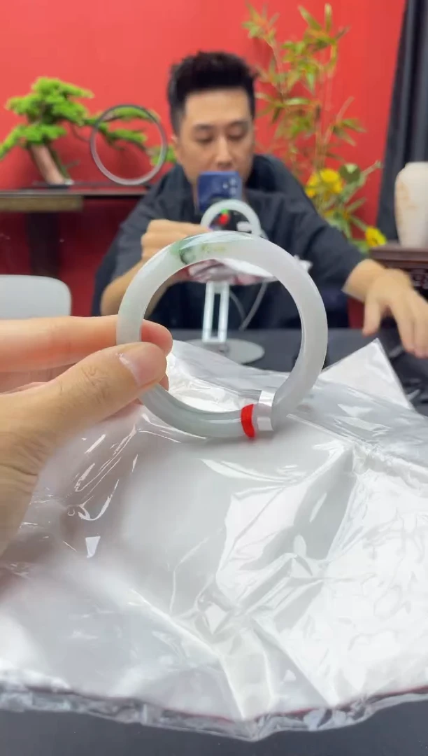 未镶嵌手镯翡翠6