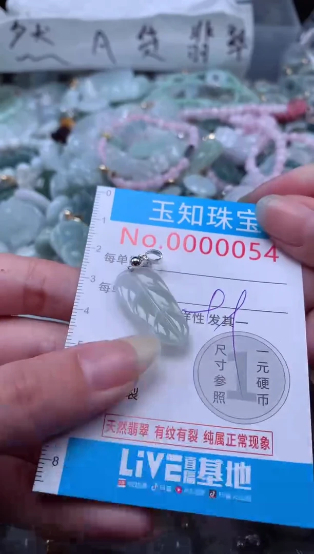 翡翠未镶嵌吊坠(不含链)54