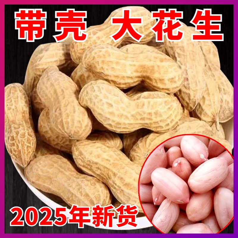 2025新货山东大粒带壳花生5斤新晒干农家 生长粒花生米3斤可发芽
