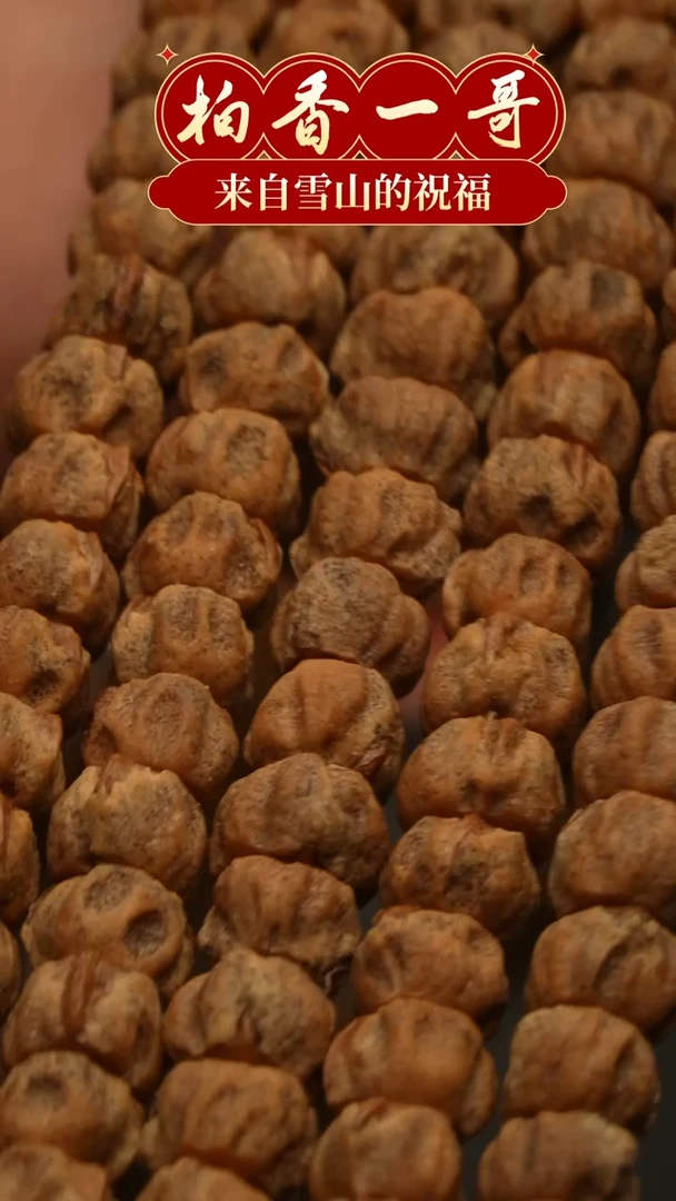 【闪购商品】柏香籽/百香籽吊坠1846