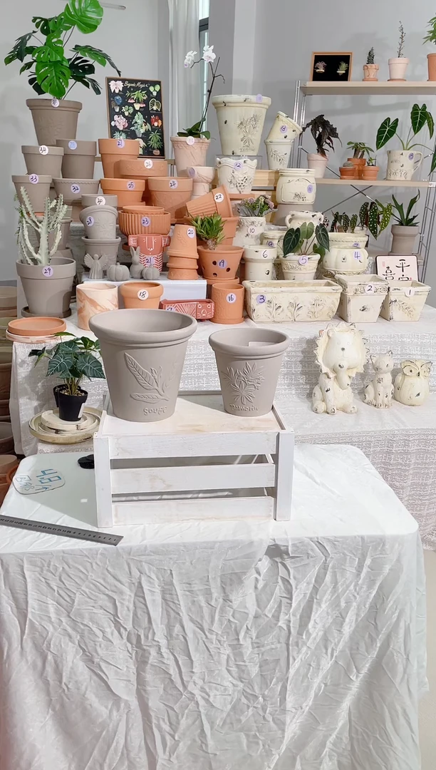 【闪购商品】陶2套灰陶香草浮雕15口径+20口径带托盘