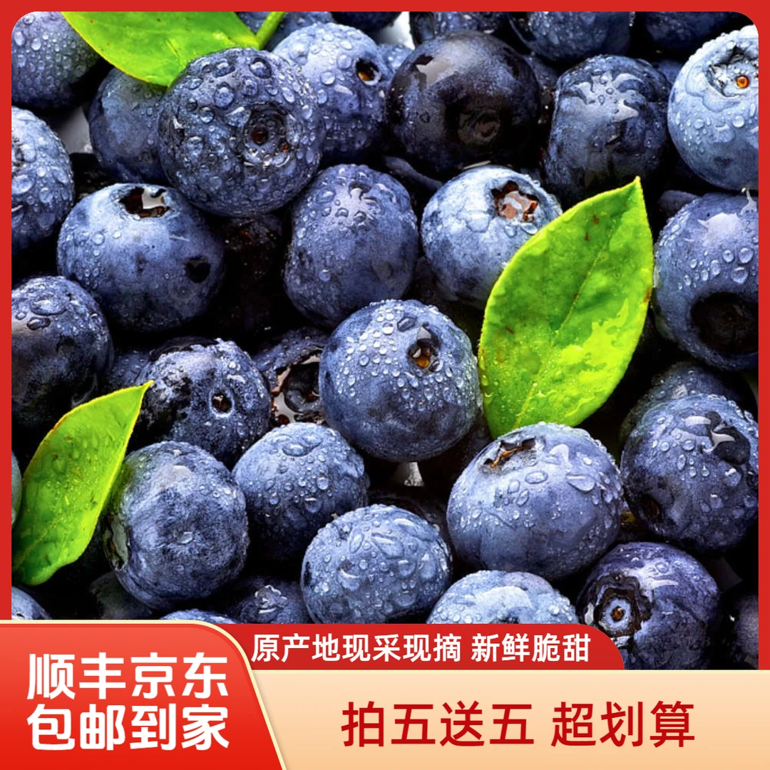【拍五盒送五盒】原产地高山大蓝莓现摘现发新鲜脆甜带盒100g/盒