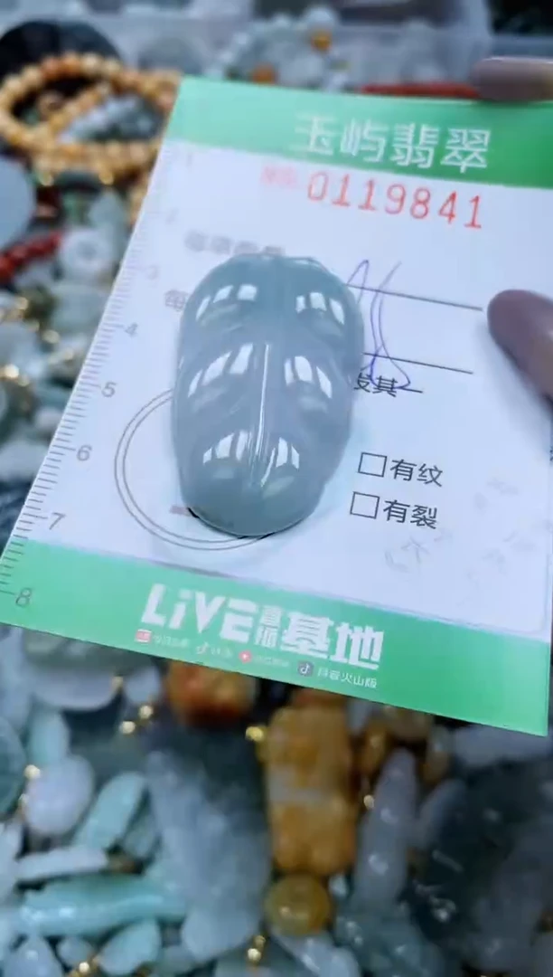 翡翠未镶嵌颈饰闪购0119841