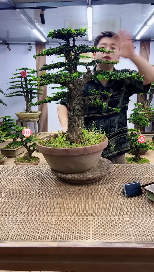 无花朵00000000000000000