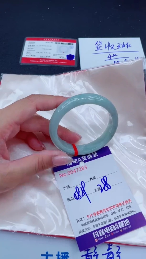 未镶嵌手镯翡翠288