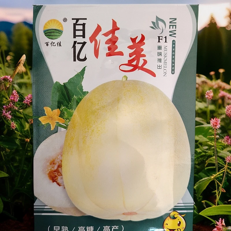 百亿佳美甜瓜种子