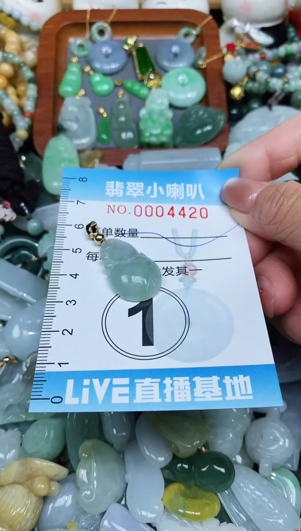 【闪购商品】翡翠颈饰未镶嵌闪购0004420