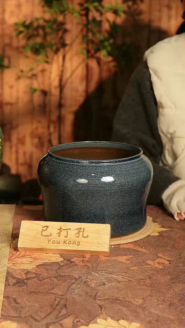 陶瓷21-350微瑕高度18口径18已打孔误差2