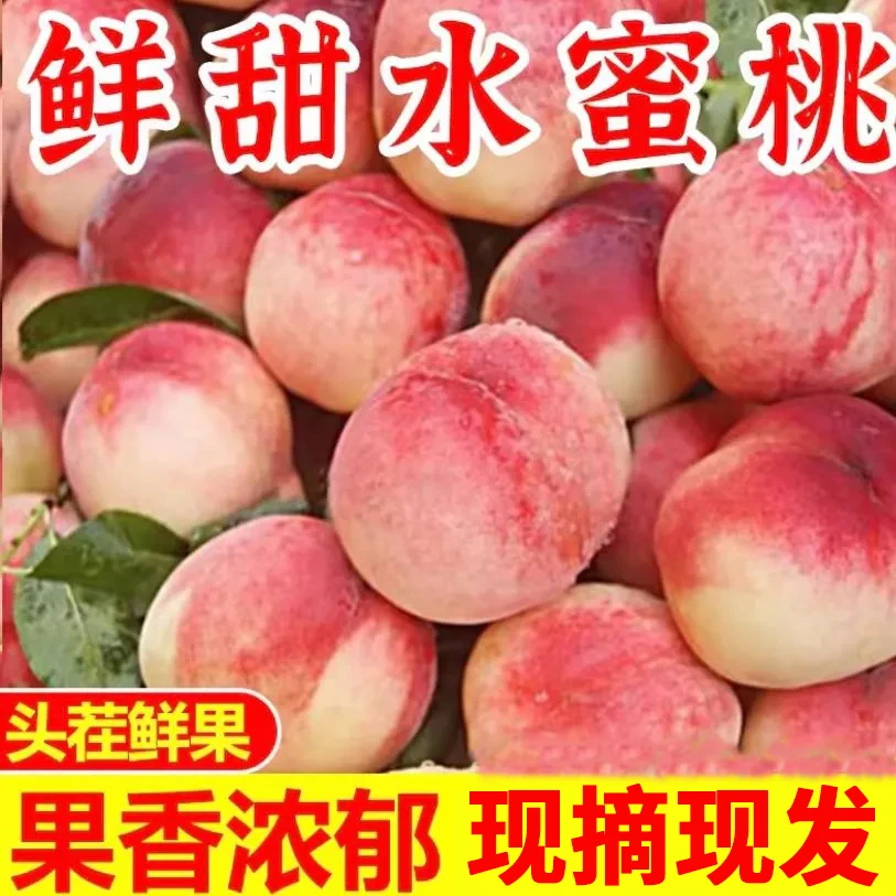 新鲜金秋蜜桃【顺丰】软硬两吃香甜爆汁现摘现发正宗安徽头茬水蜜桃