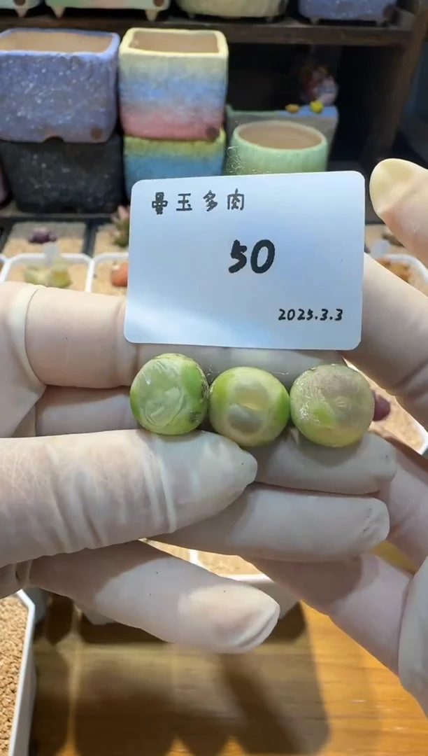 【闪购商品】25.3.3-50