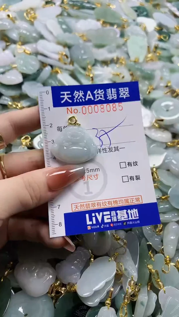 颈饰未镶嵌翡翠天然A货翡翠