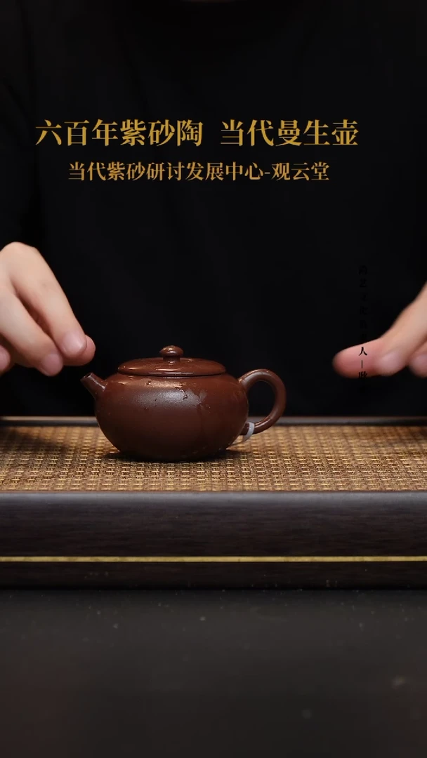 茶壶紫砂宜兴紫砂壶底槽清圆珠