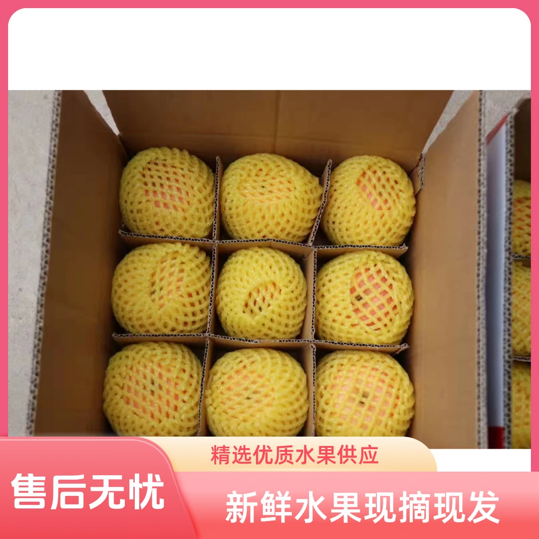 【坏货包赔】陕西洛川苹果红富士5斤装中果现发水果产地正宗苹果