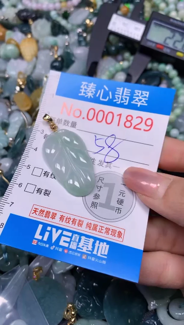 【闪购商品】翡翠颈饰未镶嵌含绳0001829