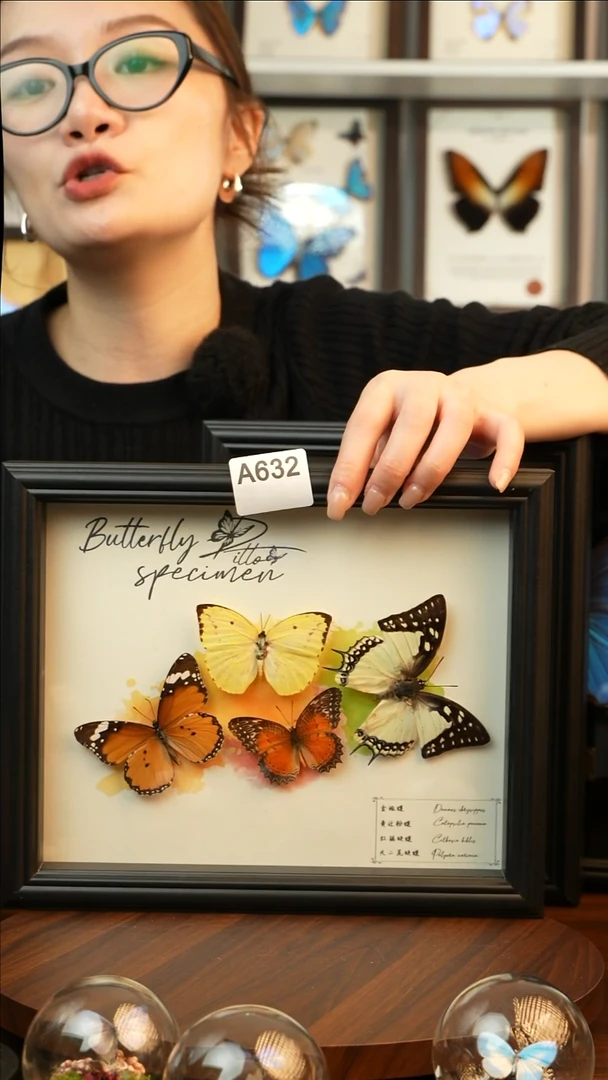 四色蝴蝶组合（10寸欧式黑框）A632