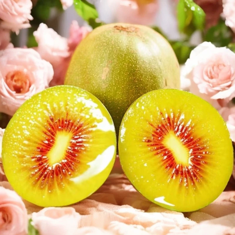 四川雅安红心猕猴桃中果(包邮)