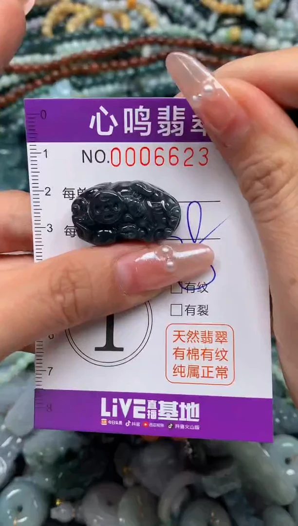 颈饰未镶嵌翡翠闪购006623