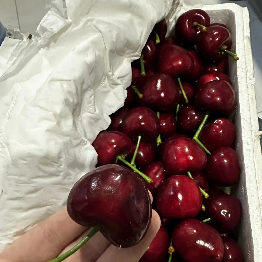 新鲜樱桃500g（大）4J其他品种