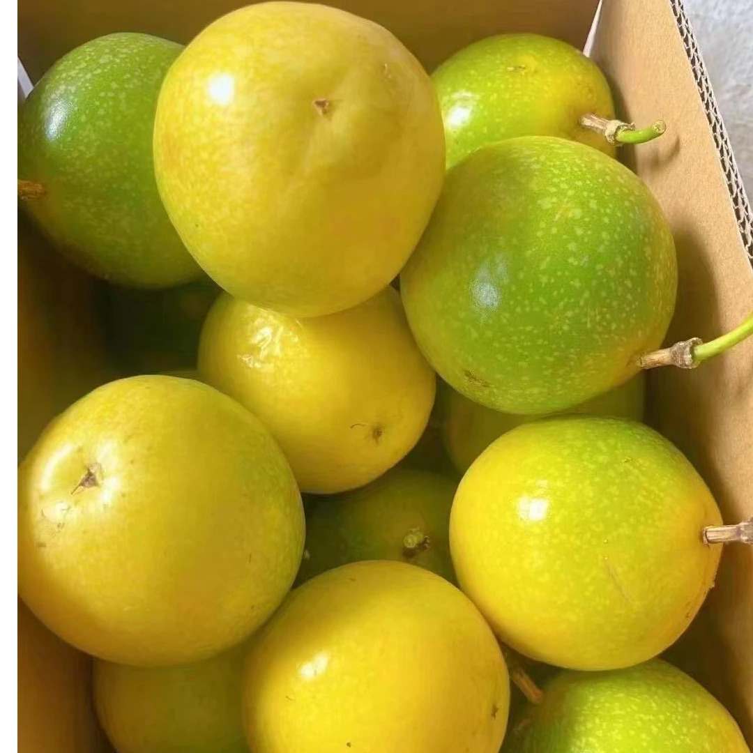 [精品果]正宗钦蜜9号新鲜采摘孕妇水果黄金正宗百香果