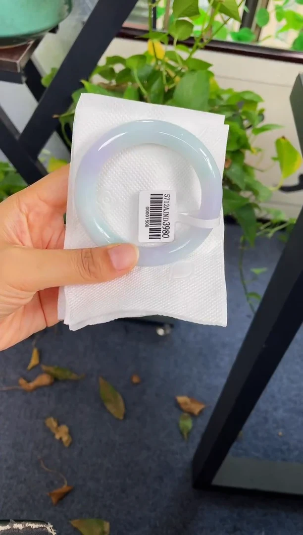 未镶嵌手镯翡翠207-57.8