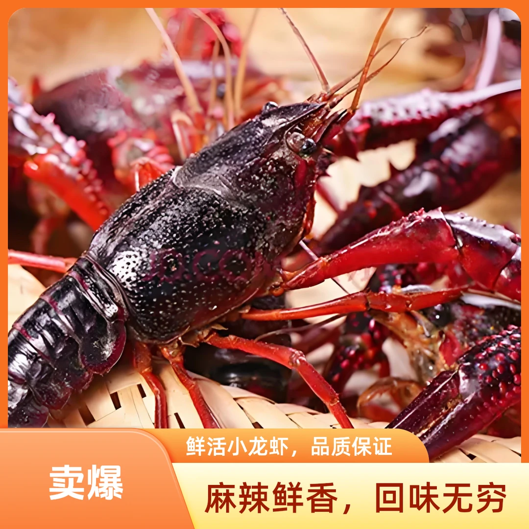 鲜活小龙虾500克（中虾3-5钱）可以帮处理好。