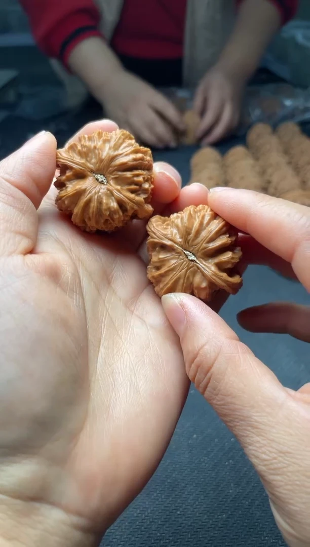 把件文玩核桃w53  白狮子 39尺